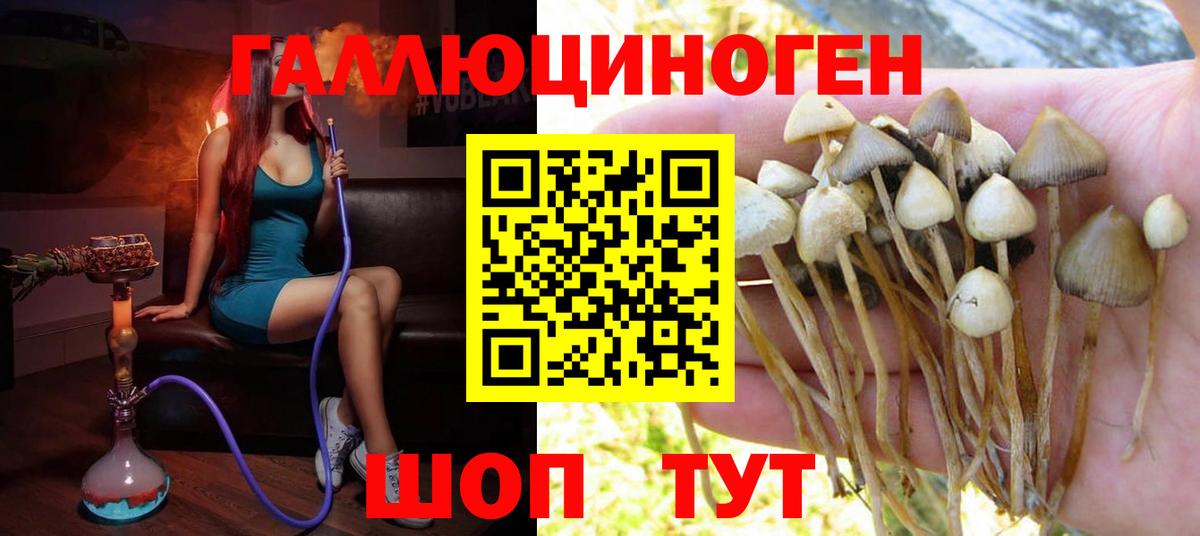 Псков  Галлюциногенные грибы MAGIC MUSHROOMS  Вход с VPN  Галлюциногенные грибы мицелий 
